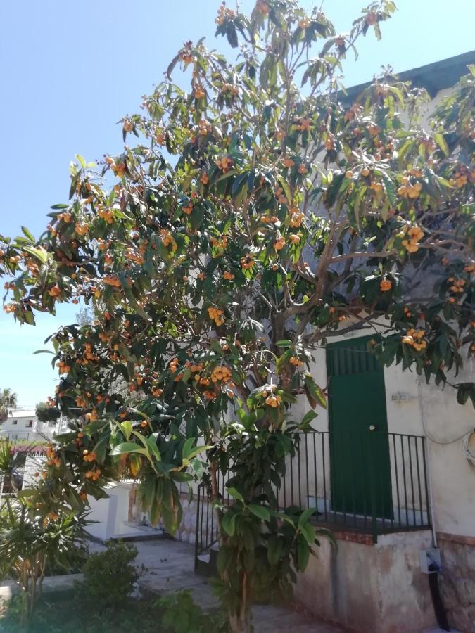 Serrano