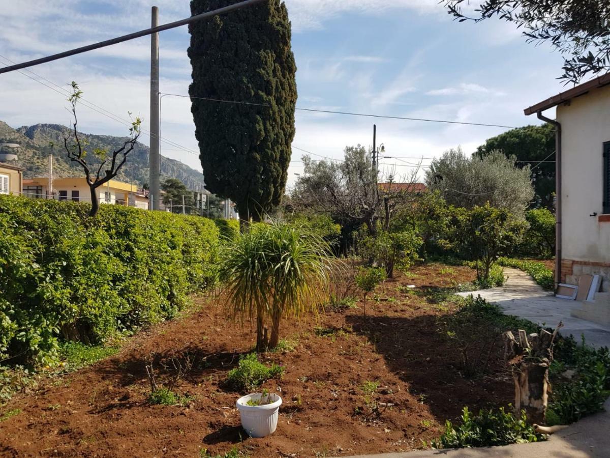 Serrano * Palermo